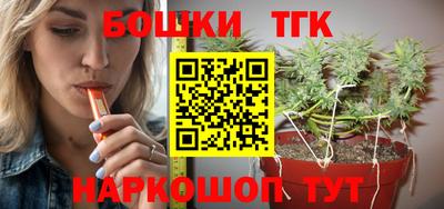 молекула духа Партизанск